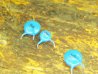 caps001a.jpg