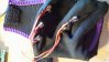 wires.jpg