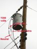 power_pole.jpg