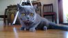 WP_20131222_09_37_43_Pro.jpg