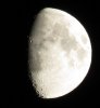IMG_4747b.JPG