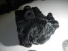 DSCN4710.JPG