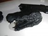 DSCN4713.JPG