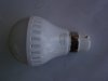 LED.1.JPG