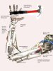 recycled partshandHammer.jpg recycled partshandHammer.jpg