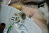 DSC00184.JPG