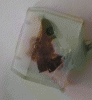 Pendulum opto2.gif