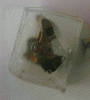 Pendulum opto4.gif