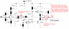 audio amplifier.png