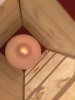 IMG_20180205_010515.jpg
