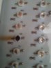 20180628_095924.jpg