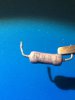 Resistor.JPG