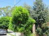 IMG_0002.JPG