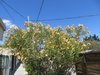 IMG_0004.JPG