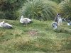 IMG_0017.JPG
