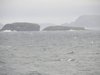 IMG_0003.JPG