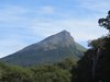 IMG_0023.JPG