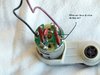 P1010140x.JPG P1010140x.JPG