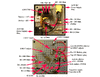 PCB_1.gif
