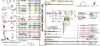upload_2020-7-20_17-24-51.png