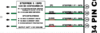 upload_2020-7-20_17-26-18.png