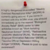 WORK.png