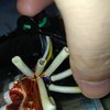 IMG_20201227_1232425.jpg