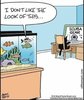 cat scuba.jpg