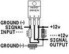Signal Converter.jpg