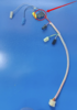 componente_1.png