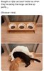 cat bowls 75.jpg