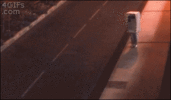 flashphoto.gif