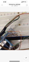 954F18EA-1B64-4D8B-84CC-01256D0612BF.png