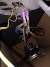 IMG_20221104_184733293.jpg