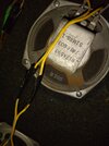 IMG_20221104_185033893.jpg