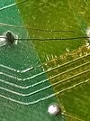 IMG_20221223_011521_868~2.jpg