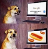 hotdogs.png