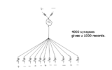 perceptron1.png perceptron1.png