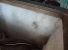 IMG_20230616_124723.jpg