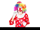 photo_1687923704590.png