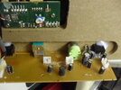 SDC10595.JPG