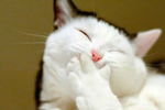 1701548107457.png