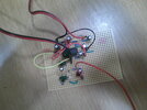 DSCF0207.JPG