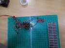 DSCF0266.JPG