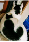 photo_1683417881102.png