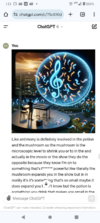 Screenshot_20240504-131300.png