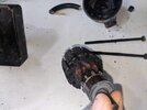PXL_20240729_190906422.jpg