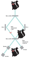quantum-cat_graphic_m1.png quantum-cat_graphic_m1.png