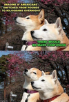 1725952384632.png