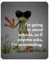 Outstanding Frog.png Outstanding Frog.png